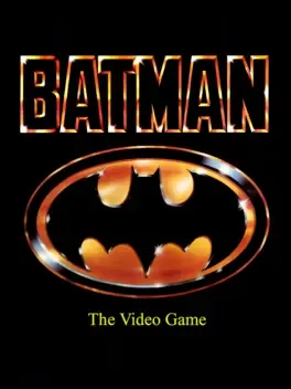 Batman: The Video Game